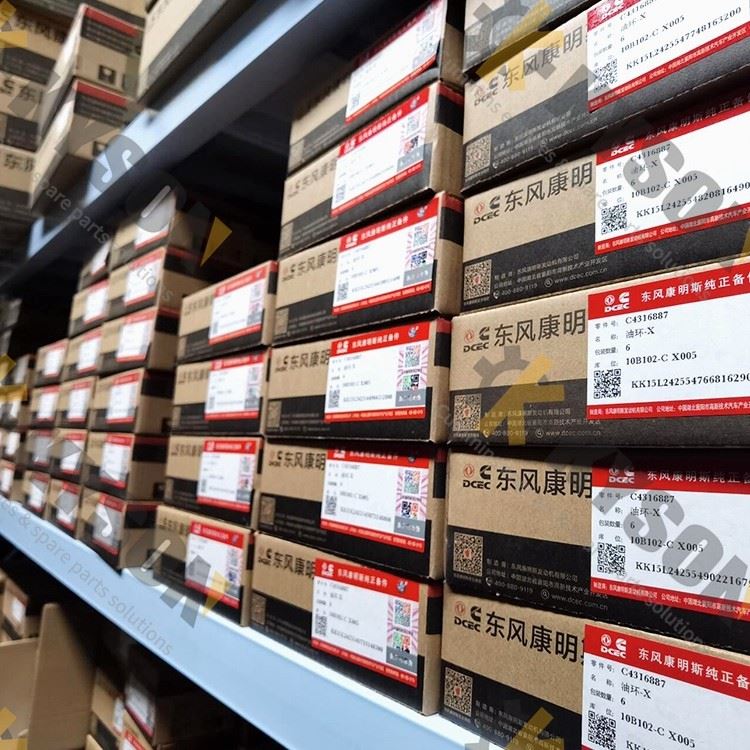 Cummins Diesel Engine Part Camshaft Bushing Kit 3801106 3028075 3028269 3011951 Camshaft Bushing Set For NT855